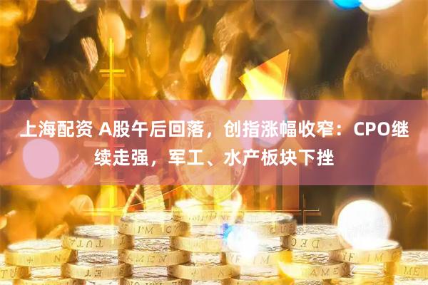上海配资 A股午后回落，创指涨幅收窄：CPO继续走强，军工、水产板块下挫